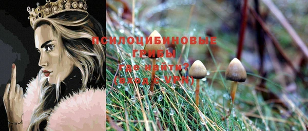 COCAINE Алексеевка