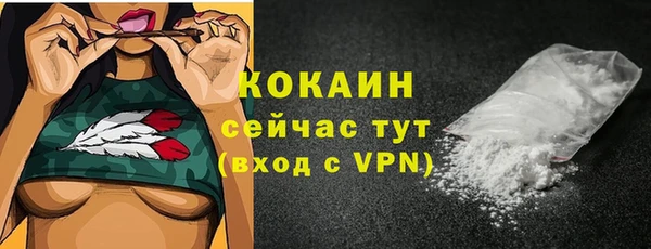 шишки Абинск