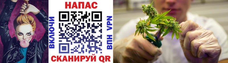 Канабис Ganja  mega tor  Злынка 